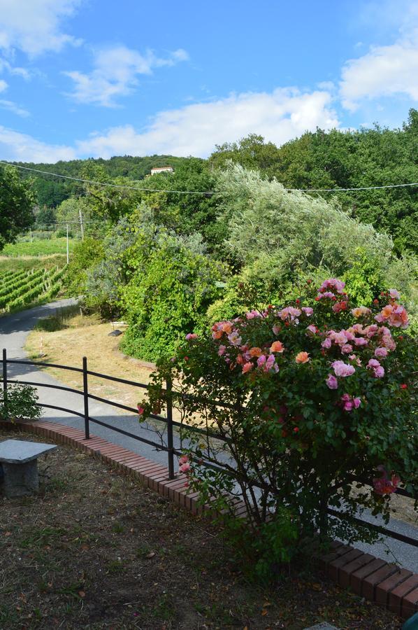 Ferienwohnung Casa Sarticola Castelnuovo Magra Exterior foto